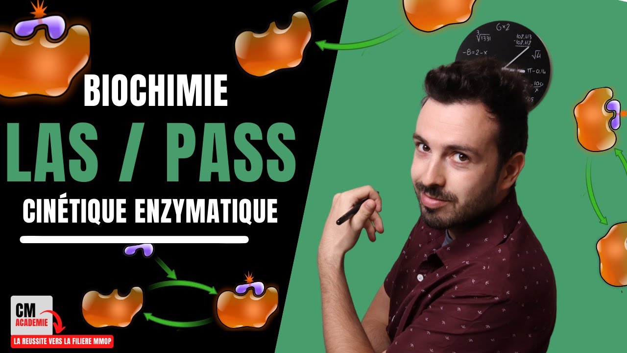 ENZYMOLOGIE : 🧬Cinétique enzymatique, ce qu'il faut maîtriser !