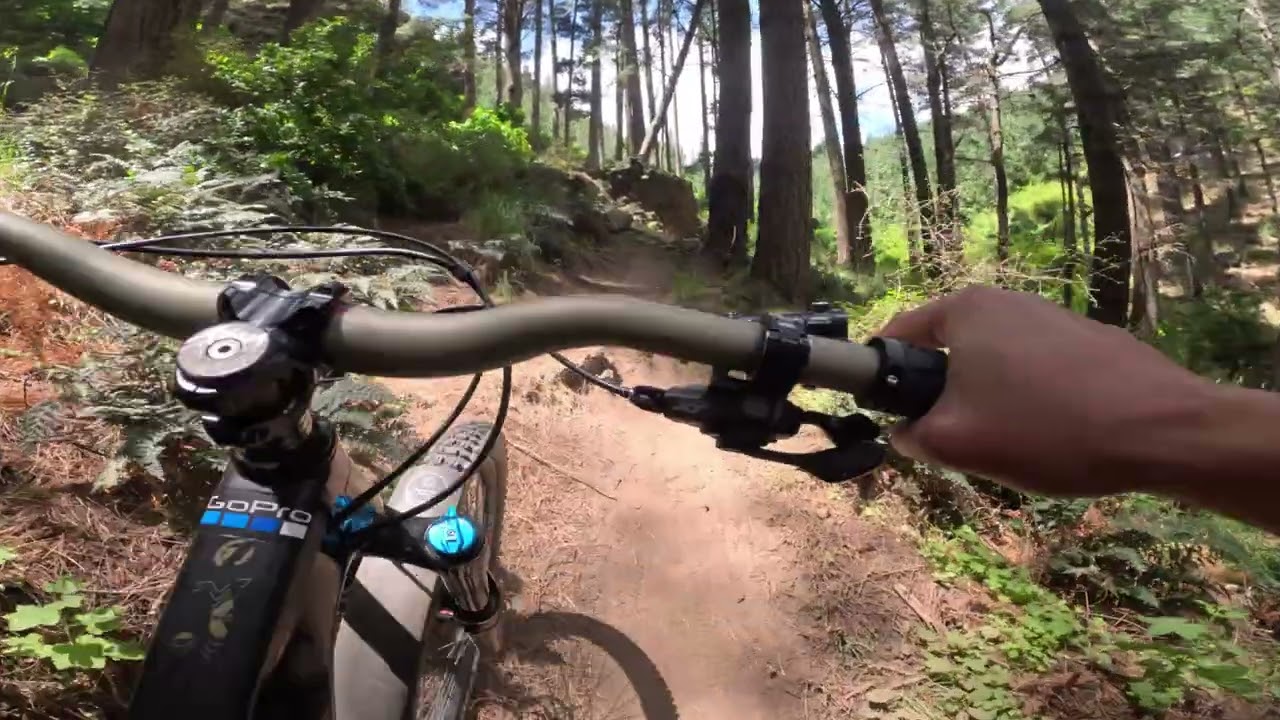 New Lines on Double Vision  (christchurch adventure park)