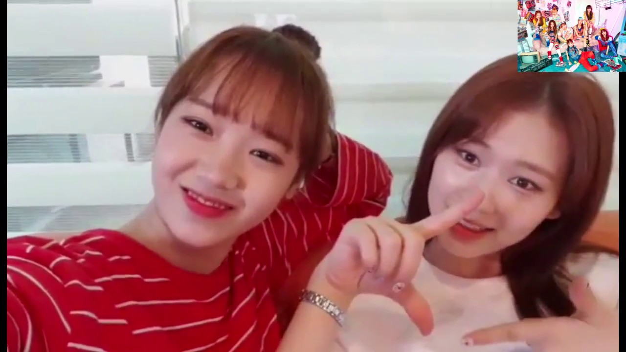 위키미키 입덕 영상 (※입덕주의)(재업)