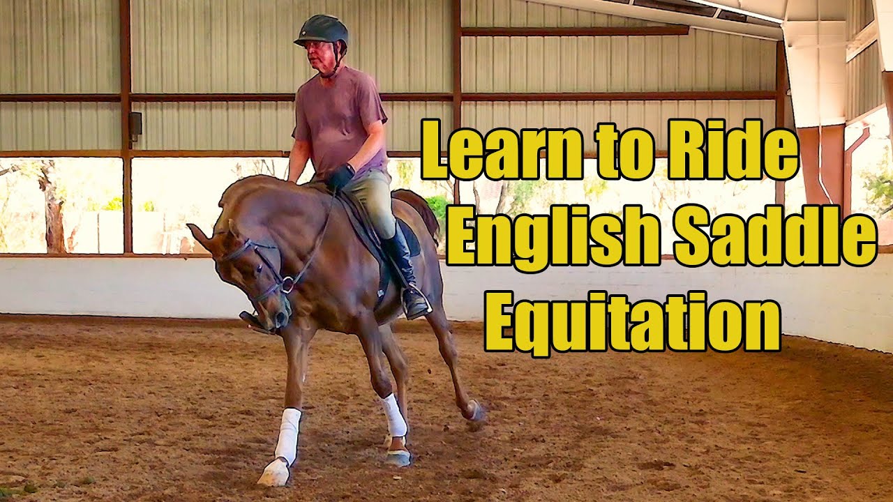 Learn How to Ride English Hunt Seat for Hunter Pleasure in Horse Shows
