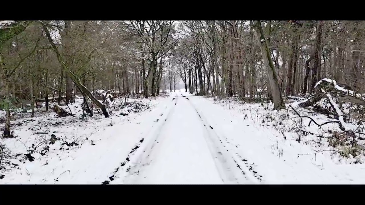 Winter Limburg Weert 2023 .