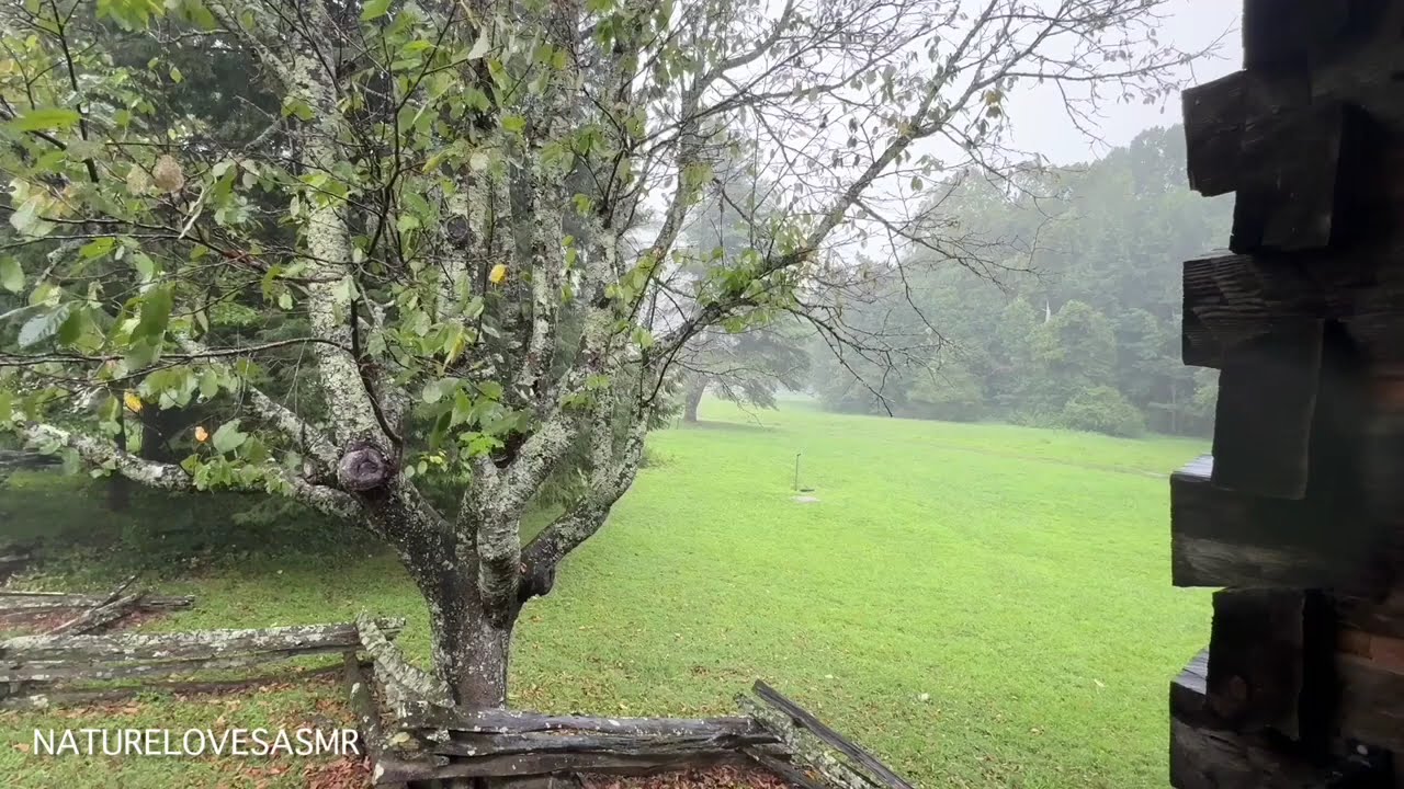 Rainy Day Cades Cove Great Smoky Mountains ASMR