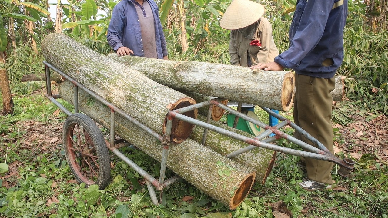 Billions Of Engineer Carpenter Don't Know This Secret! Transform Abandoned Tree Trunk Into Furniture