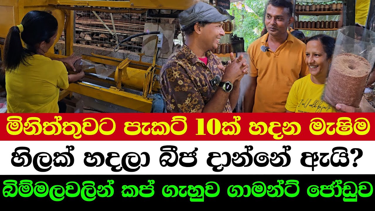 Modern Mushroom Farming A–Z | How This Garment Couple Transformed Their Life