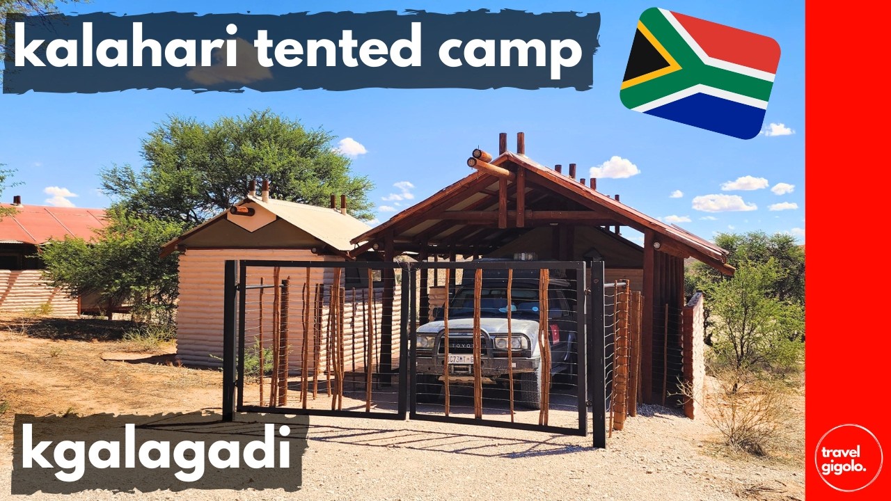 Camp Review: Kalahari Tented Camp - Kgalagadi Transfrontier Park (Travel in South Africa)[Glamping]