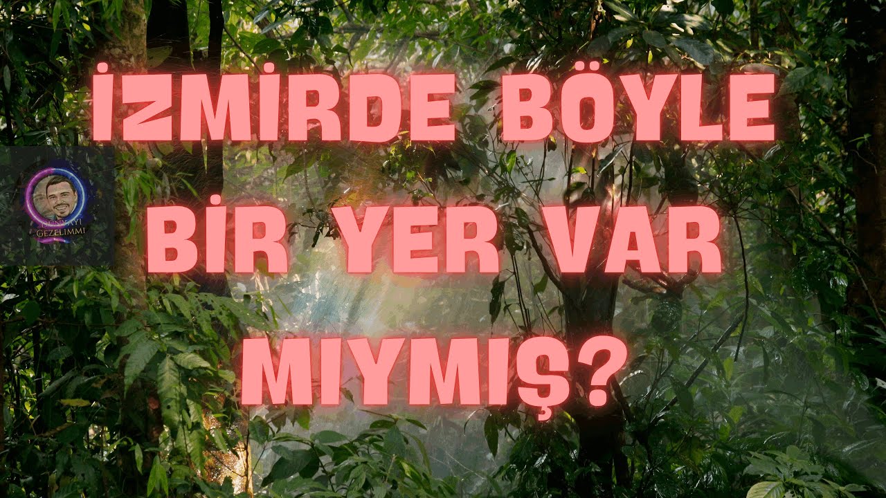 İZMİR TIRAZLI KÖYÜ YARIKLI PINAR DERESİ BALÇOVA TERAPİ ORMANI