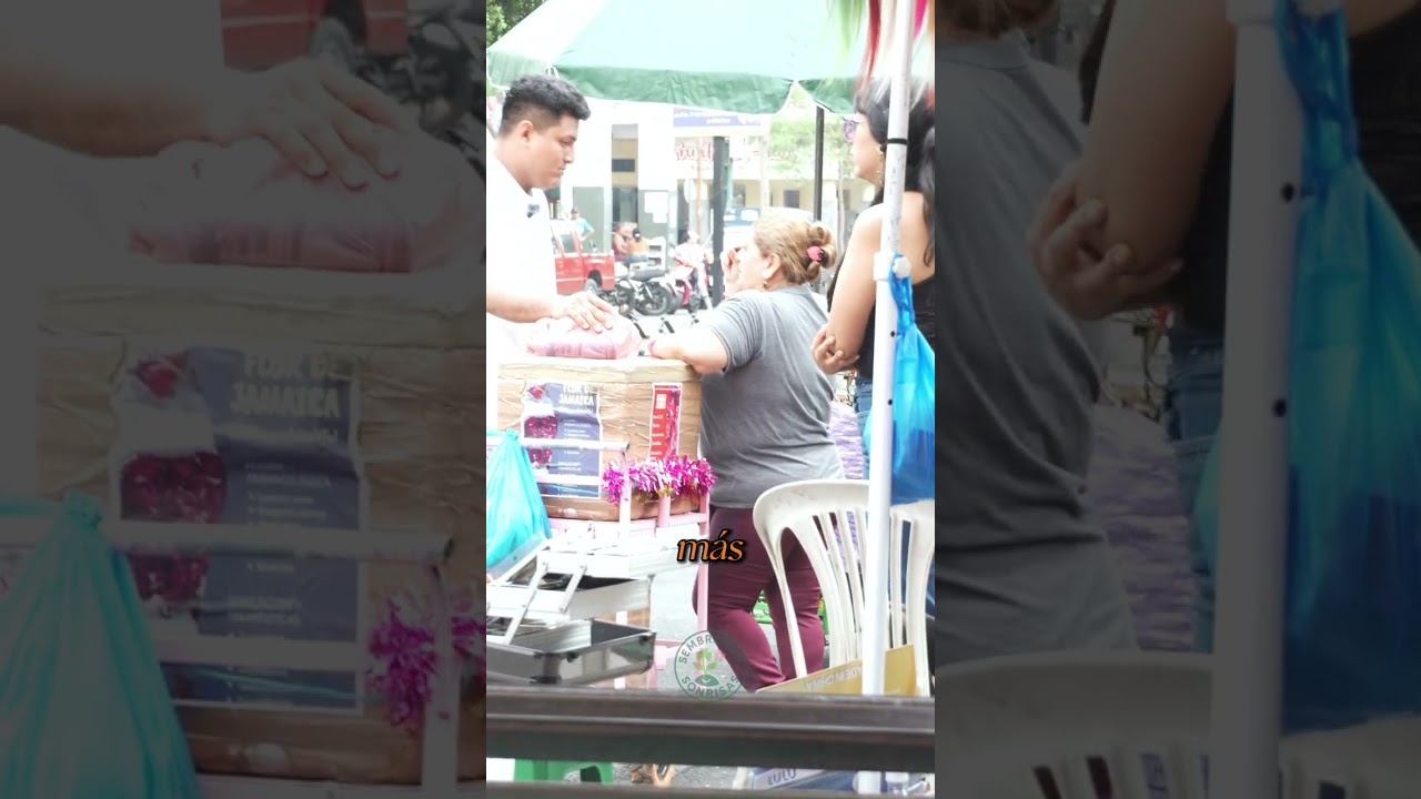 Video completo de la ayuda social