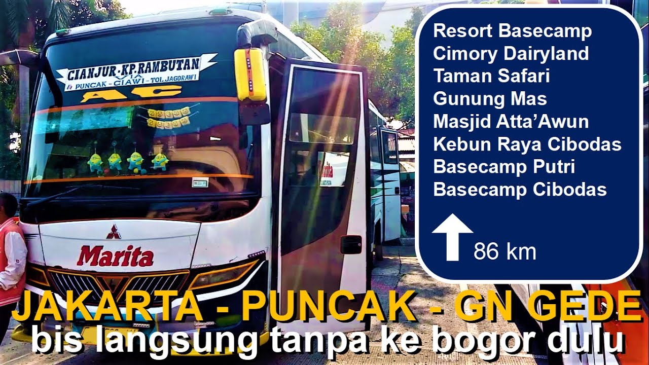 Puncak Bogor dan Gunung Gede via Putri dan Cibodas : Bus Langsung dari Jakarta Tanpa ke Bogor Dulu