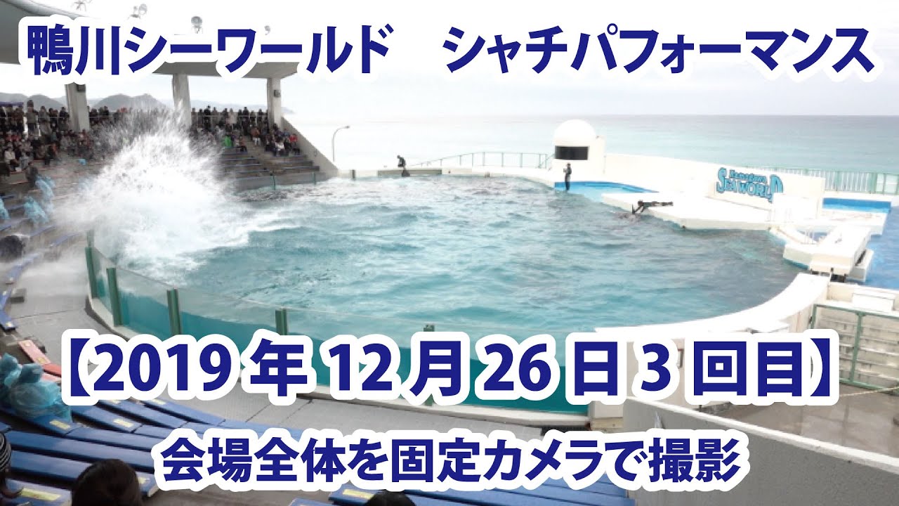【2019年12月26日3回目】鴨川シーワールド　シャチパフォーマンス　会場全体を固定カメラで撮影