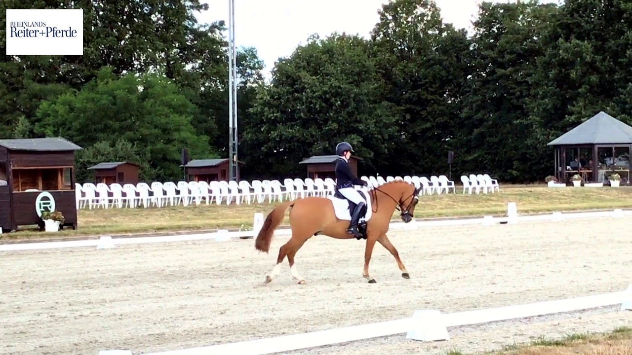 Frederike Feldhaus und Delray Pony FEI Kür RM 2019