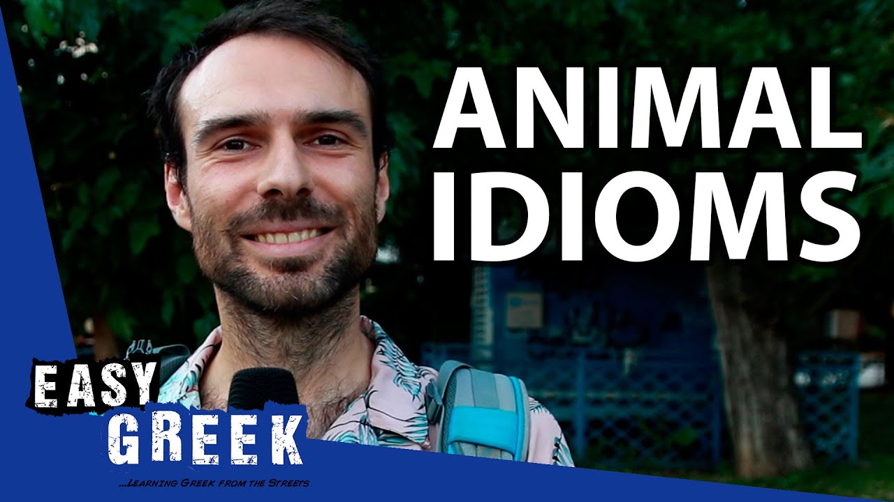 🐐 12+ Common Greek Animal Idioms | Easy Greek 76