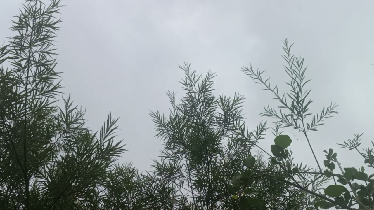 5 minuti in cui (non) accade, nulla.