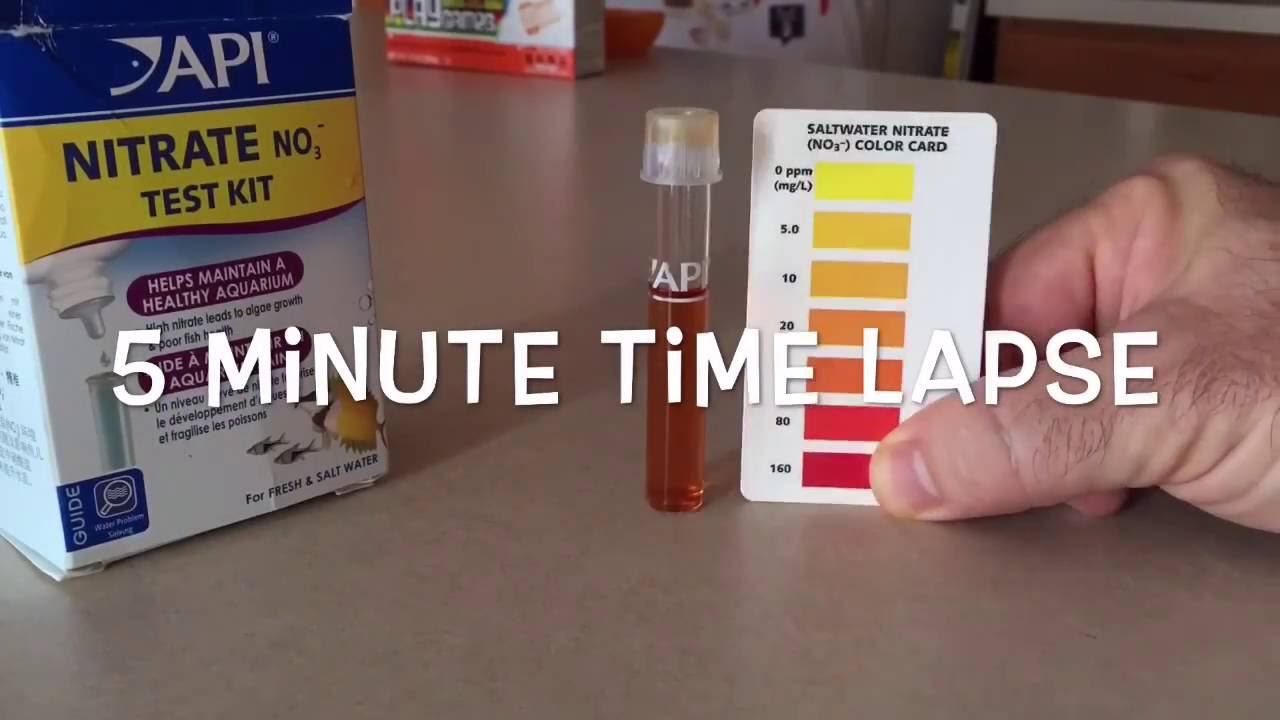 high nitrates in aquarium