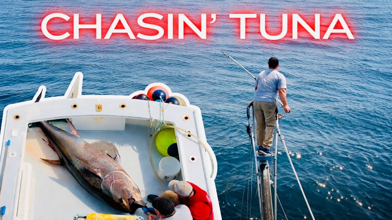Chasin’ Tuna | Harpooning Bluefin off the Coast of Maine 🎣🐟