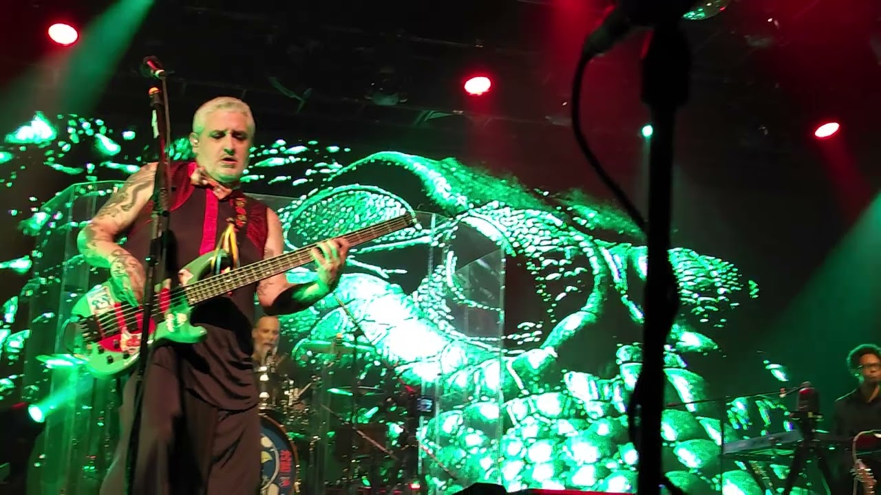 Pato Fu - Onofle (Ao vivo na Audio 07/08/2025)