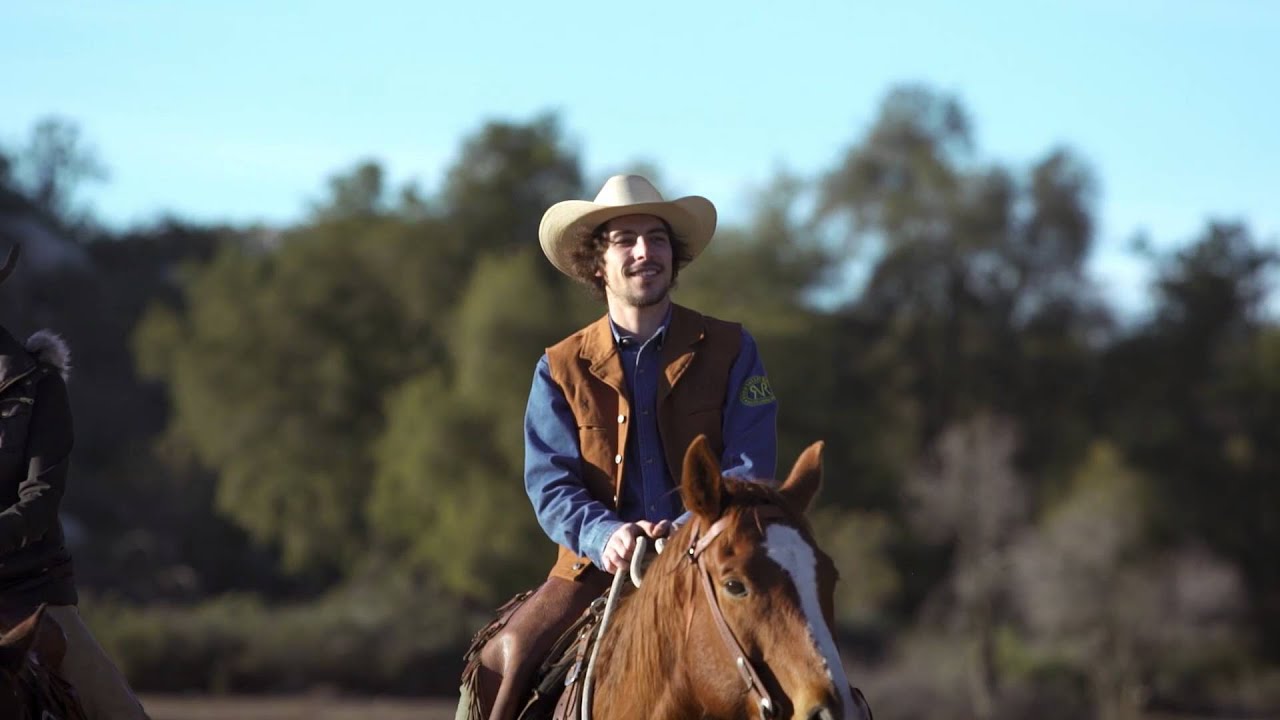 McDonald's presenta Ranch BBQ