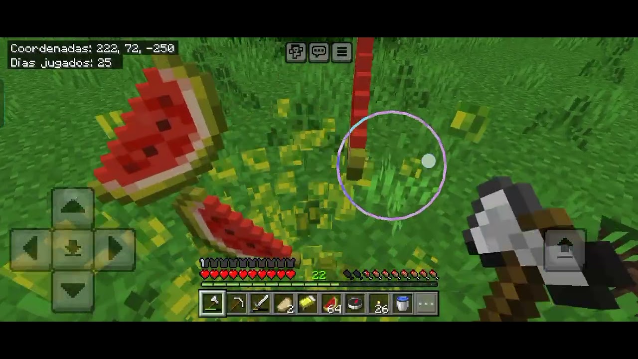 CAPITULO 11 Y A EXPLORAR 