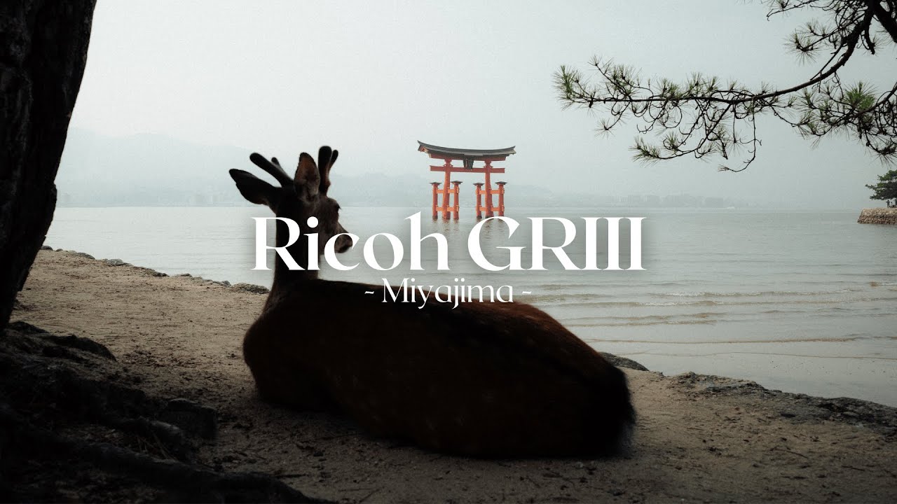 An Afternoon With the Ricoh GRIII in Miyajima