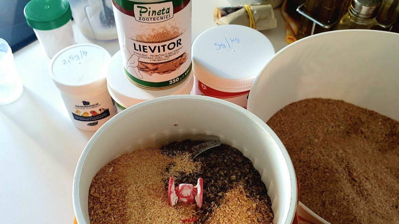 Nueva pasta casera, ideal para mezclar con alimento humedo🥬🥕cuscus, Fast Multipower, Vita, germinado
