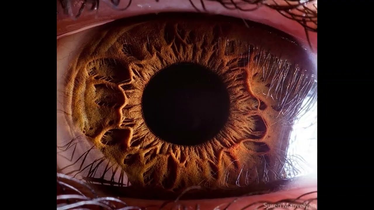 The Comsat Angels - The Eye Dance