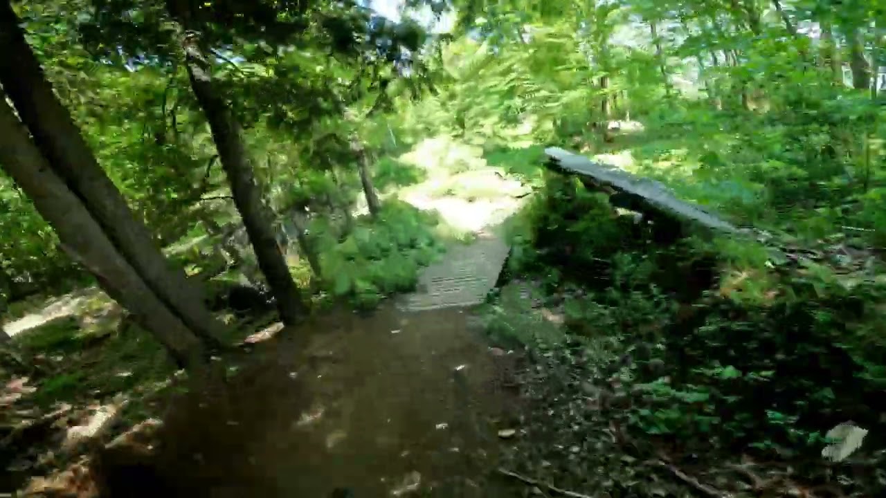 mt. pisgah Saranac Lake, NY polygon T7