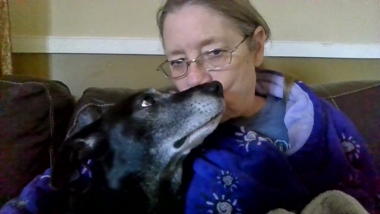Silly Dogs - Morning Snuggles @UrbanSClady