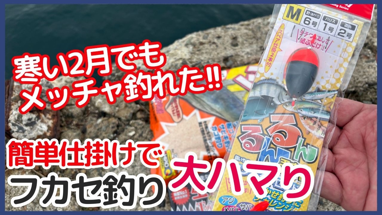 冬の堤防釣りでダイソーロッドと簡単フカセ仕掛けで爆釣!?　#ダイソー釣具 #ダイソールアー #フカセ