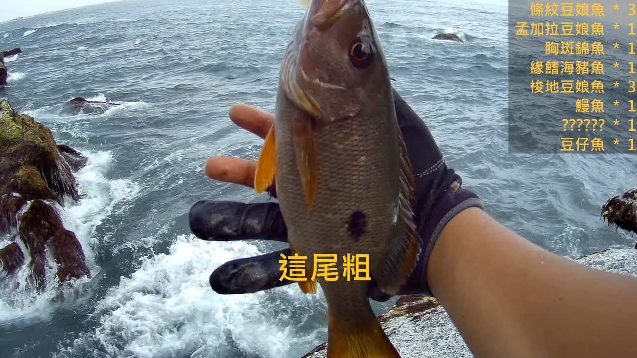 釣到大黑點 梗坊西南海濱 20210527 [嘟嘟釣魚狂#123​​​​]