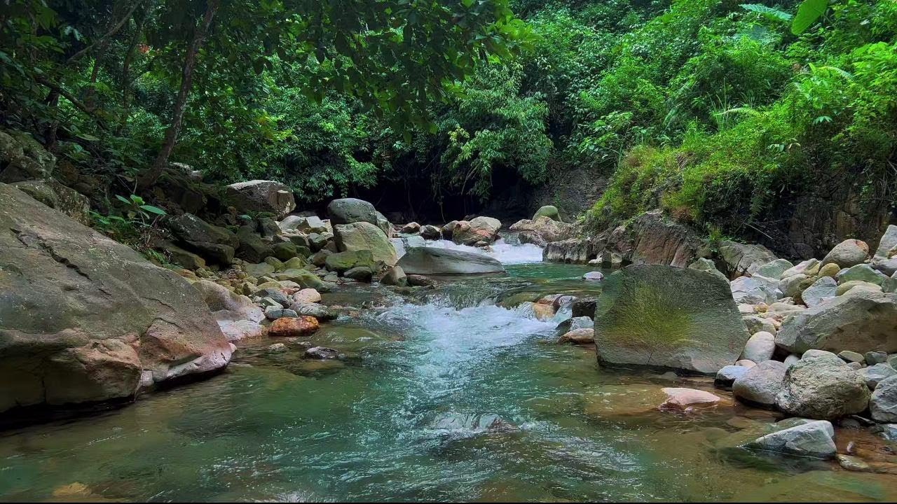 Mountain River Flowing Sounds 24/7 | Nature Sounds White Noise | Flowing Water for Deep Sleep, Relax
