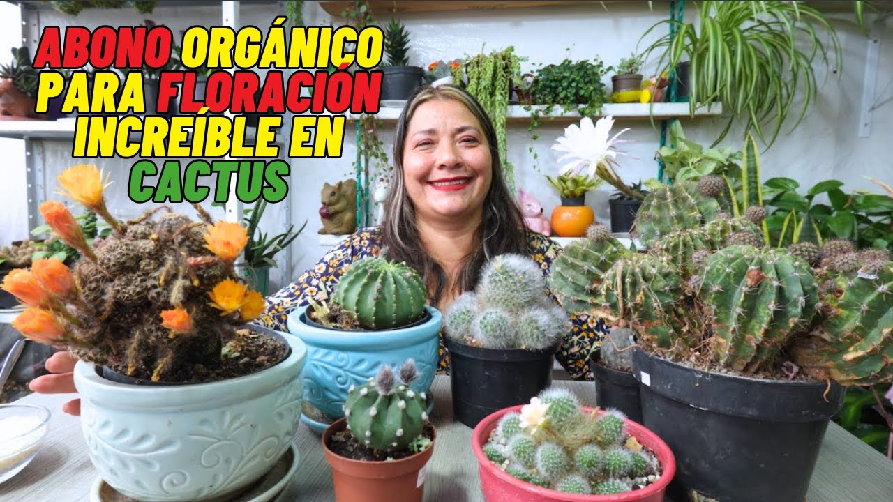 Transforma tus Cactus con Abono Orgánico para una Floración Espectacular