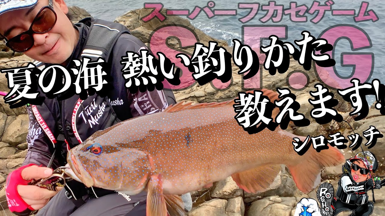 【夏の海　熱い釣りかた　教えます。】スーパーフカセゲーム　S・F・G