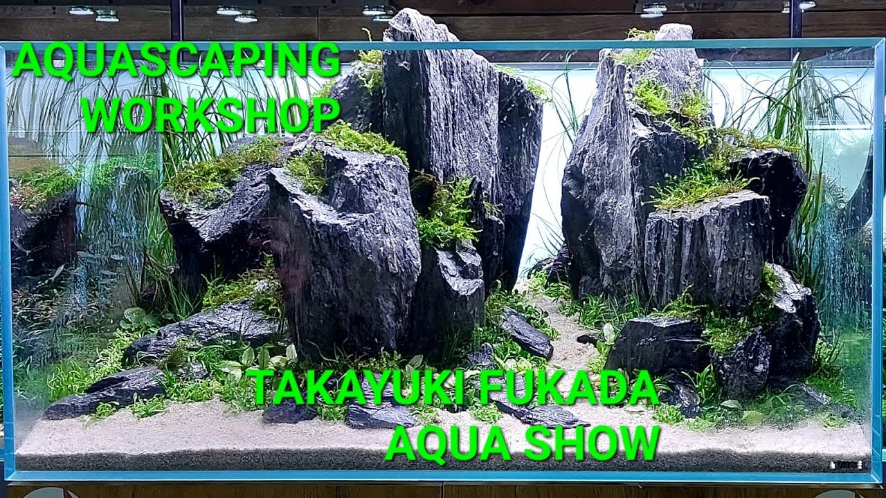 AQUASCAPING WORKSHOP.TAKAYUKI FUKADA W AQUA SHOW.Warsztaty z Iwagumi w Warszawie.