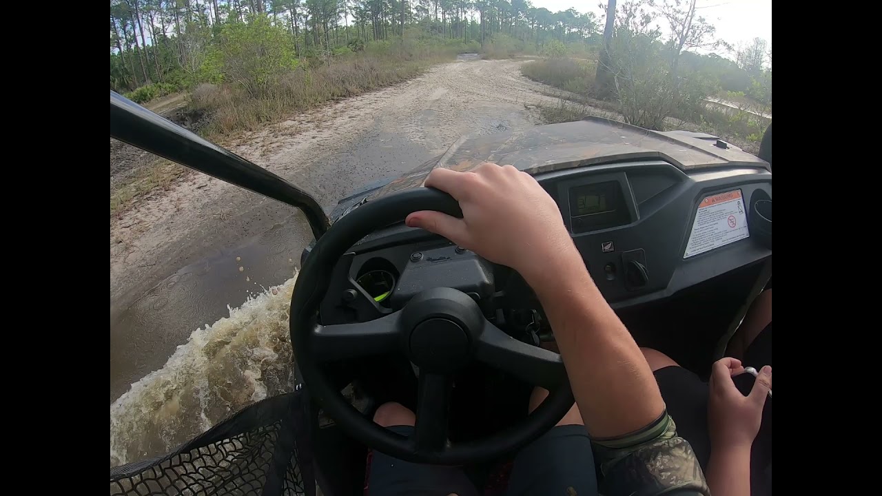 2021 Pioneer 520 ride + mean trapped hog!