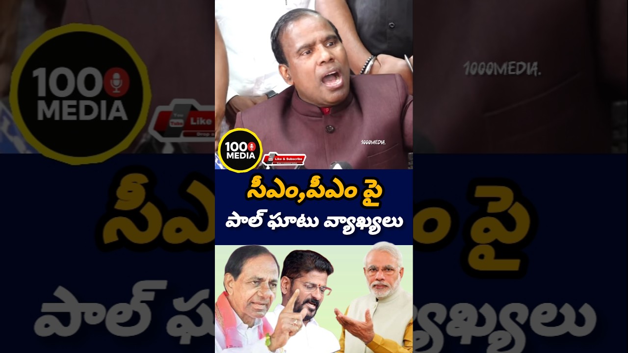pal sensational comments. #1000media #news