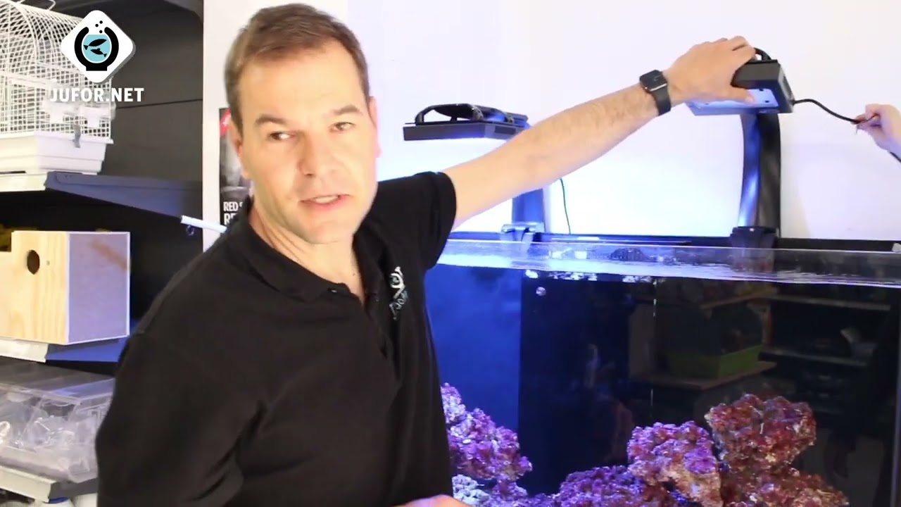 475 LITROS de ACUARIO MARINO iluminado con super lamparas 💡💡🐠