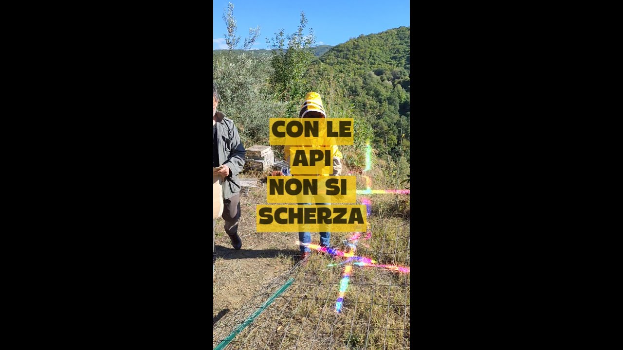 Con le api non si scherza