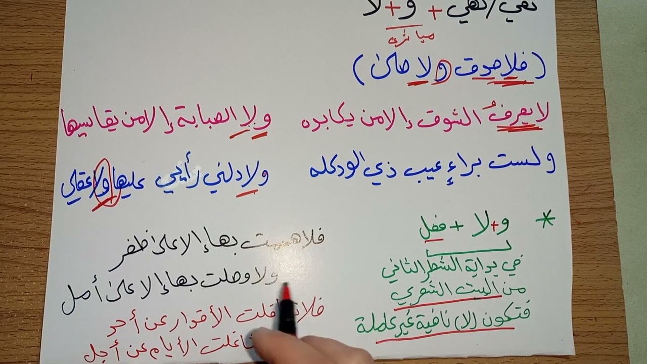 النفي (١٣) للصف السادس الإعدادي