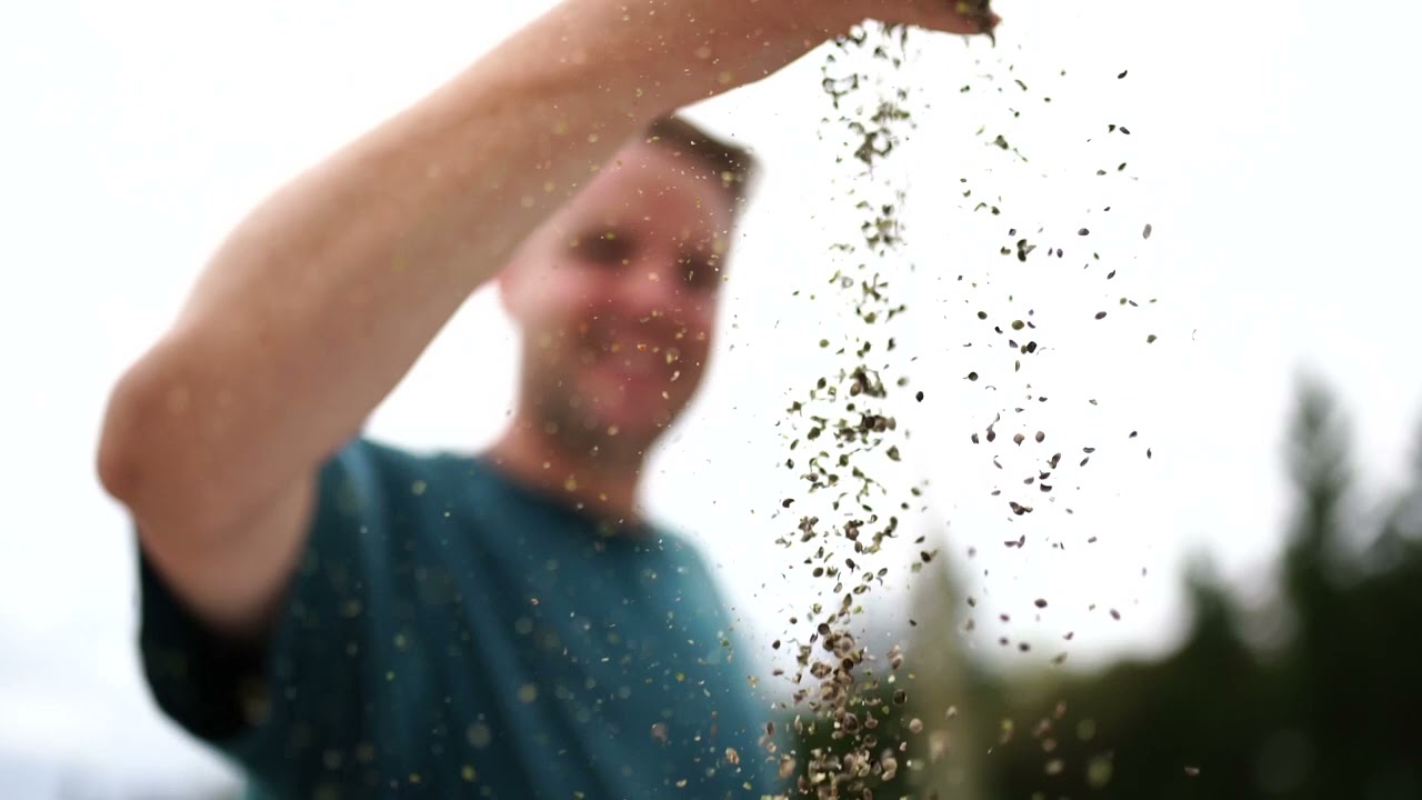 Founders Story - The Brothers Green NZ Hemp Food & Supplements