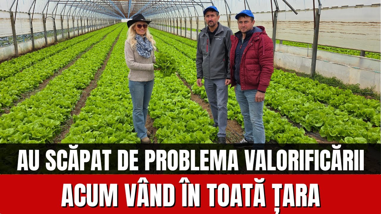 Au scăpat de grija valorificării acum livrează în toată țara