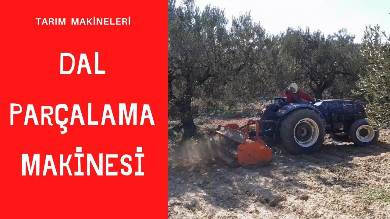 DAL PARÇALAMA MAKİNASI ALACAKLAR İÇİN . budamanın zevkli yanı bitti ve dertli yanı başladı dal kırma