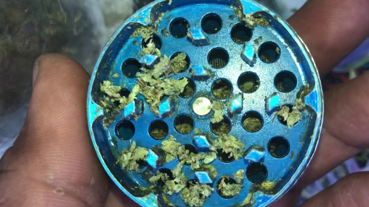 STRAIN REVIEW &ldquo;Snow White OG&rdquo;