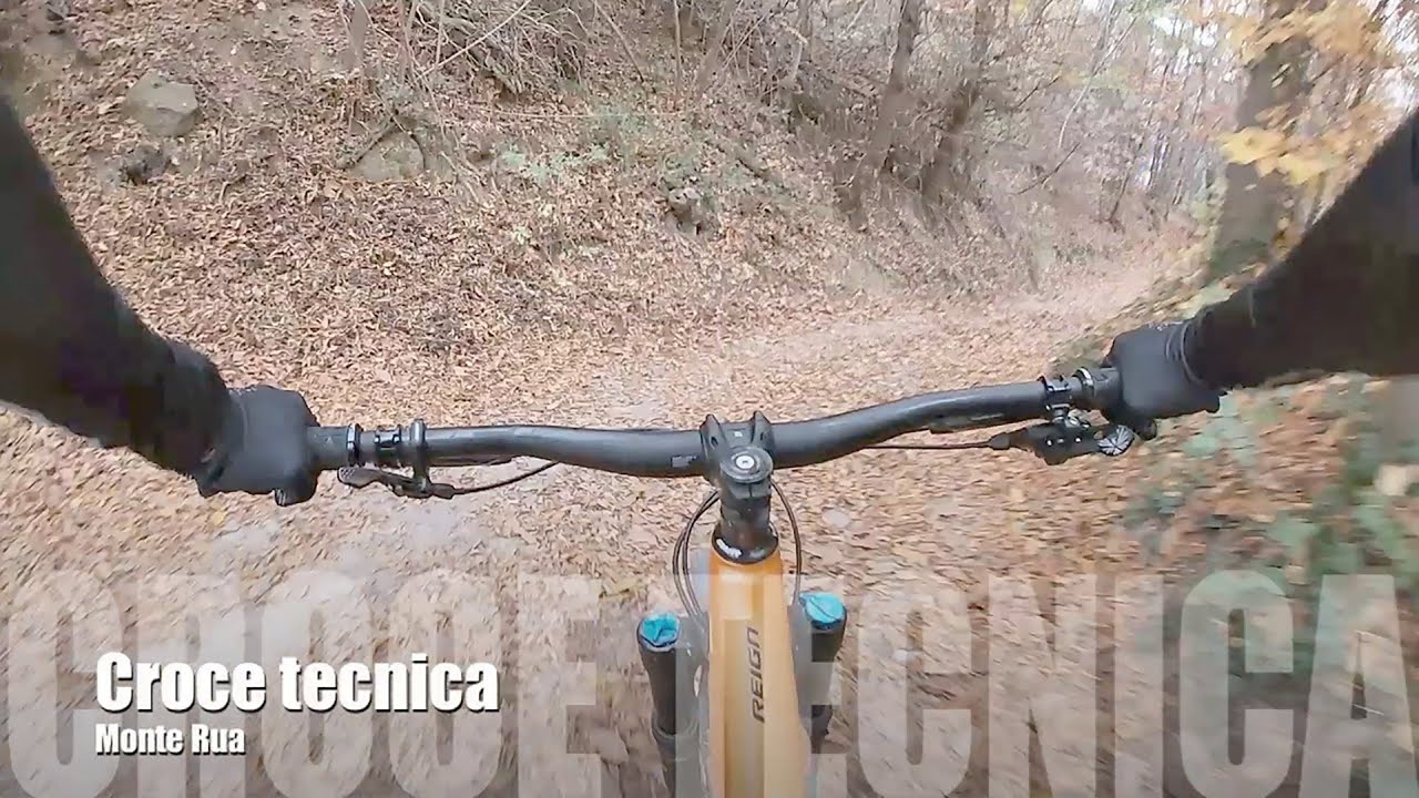 MTB Colli Euganei - Monte Rua - Croce tecnica (con caduta) + Roccolo Bonato (nov 2020)
