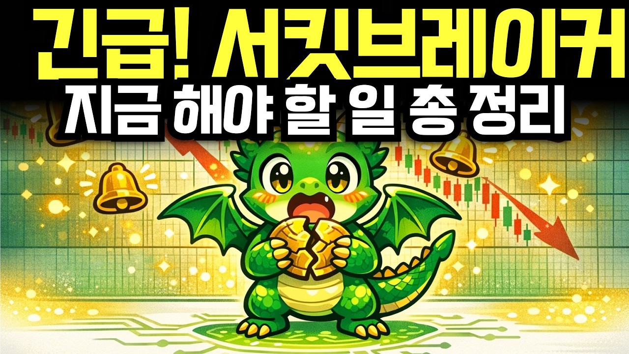 긴급! 서킷브레이커 발동, 호르무즈 해협 막힌 지금 이 시점에 지금 해야 할 일 | 경제학 | 환율 | 서킷브레이커 | 이란미국
