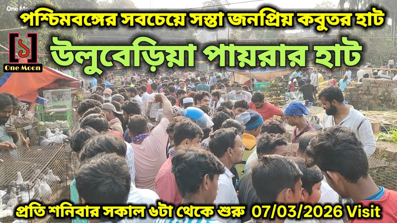 উলুবেড়িয়া পায়রার হাট | Cheapest Pet Market In Kolkata | Uluberia Pigeon Market 07/03/2026 Visit 