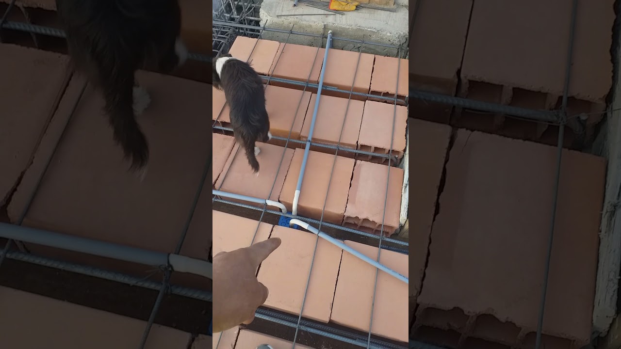 colocación de tuberías para instalación eléctrica en losa aligerada 👆