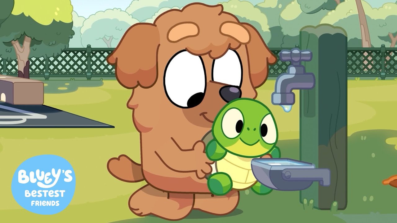 Turtle Boy💙🐢 | Bluey's Bestest Friends - Official Channel