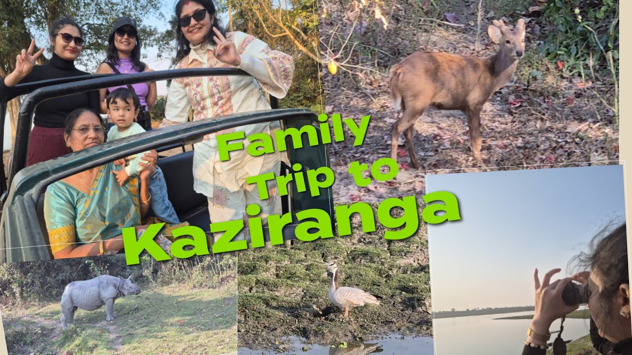 Family Trip to Kaziranga  #kaziranganationalpark #onehornedrhino #familytrip #newvlogvideo 