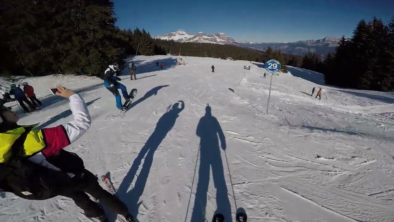Gentiane (blue), Combloux, France - 01/2022