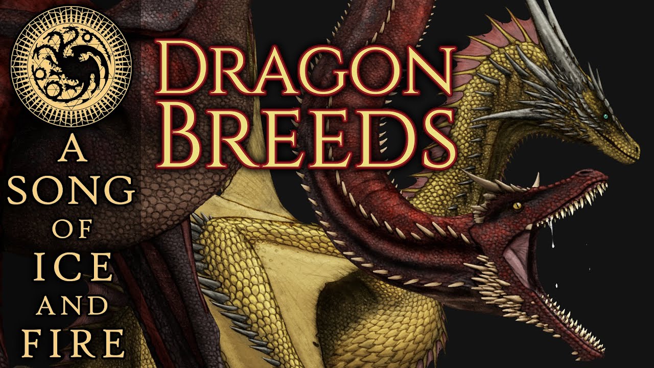 War Dragons, Racing Dragons, Road-Crew Dragons, & more: Extinct Dragon Breeds - House of the Dragon