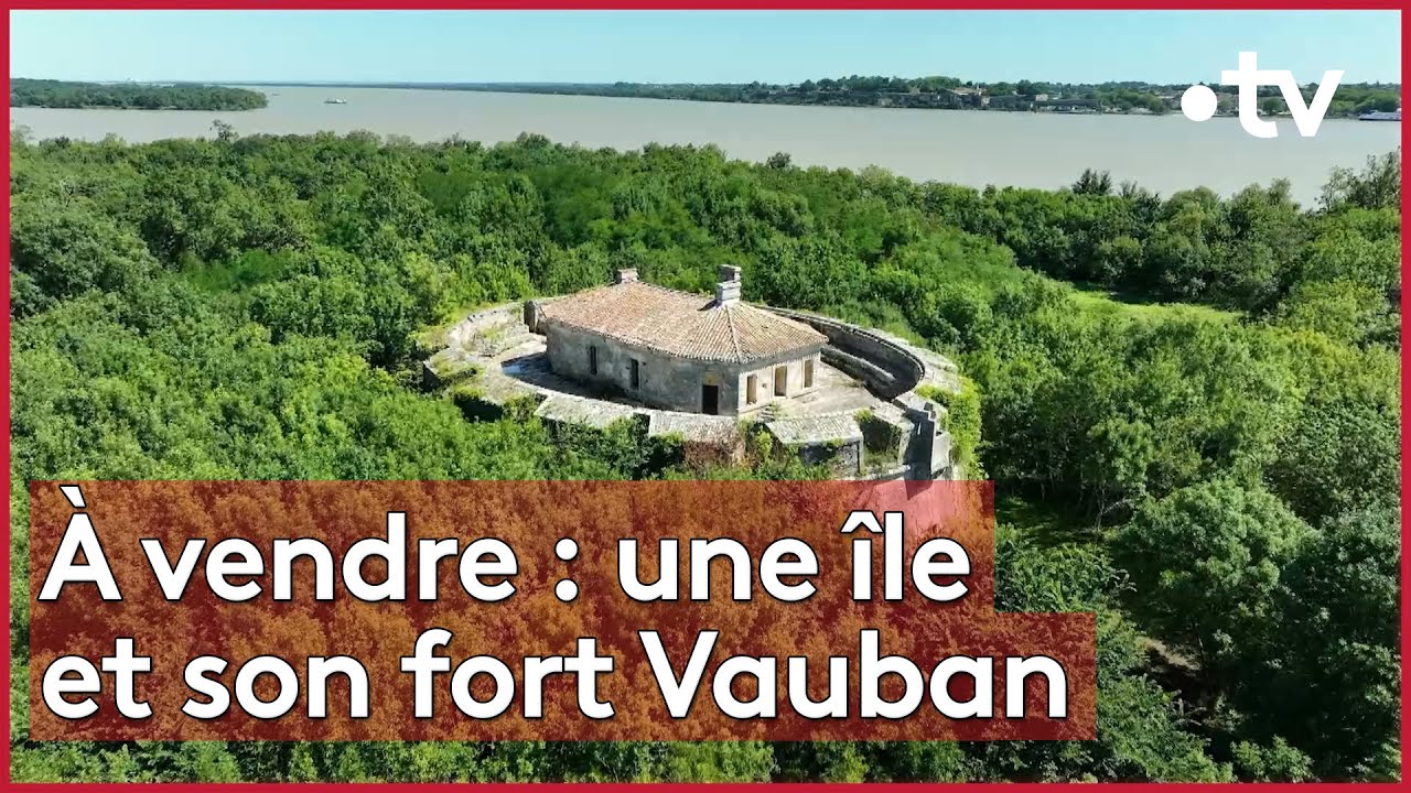 Restaurer le Fort Paté ? Une véritable aventure !